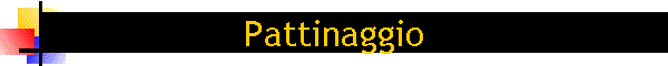 Pattinaggio