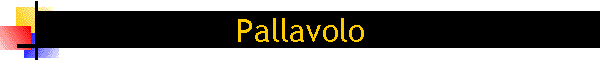 Pallavolo